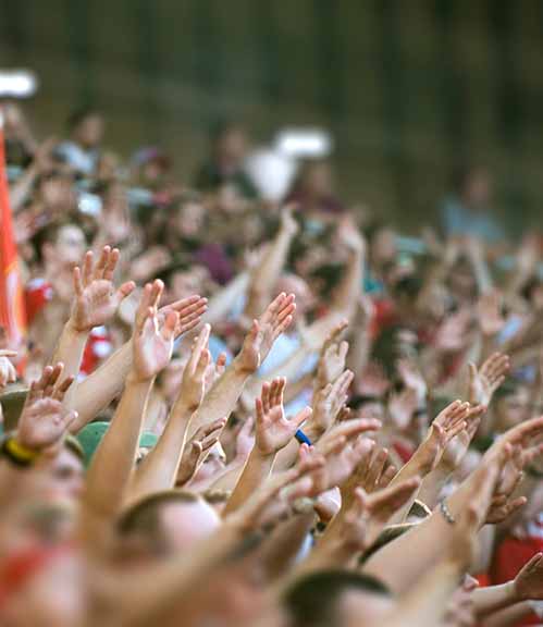 hex-crowd-in-stadium