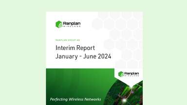 Interim Report 2024